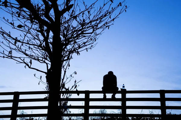 Silhouette of a man sitting alone at the fence near the withered tree with a dark blue sky background.