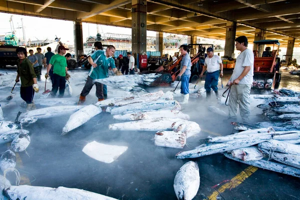 台湾高雄钱镇鱼类市场拍卖景观 — 图库照片
