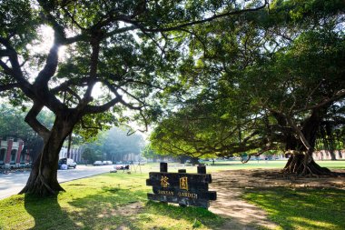 Tainan, Tayvan 'daki Ulusal Cheng Kung Üniversitesi' nin (NCKU) kampüsündeki büyük Banyan Bahçesi 'nin güzel manzarası.