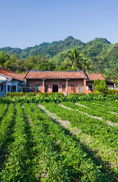 stock image Sanheyuan house in the countryside of Meinong District, Kaohsiung, Taiwan.