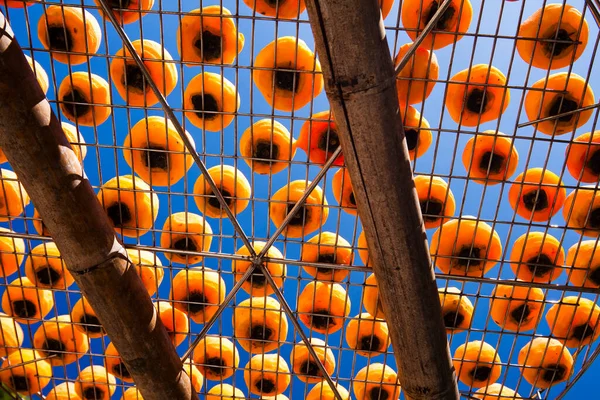 stock image Process of Making Dried Persimmon during Windy Autumn in Hsinpu of Hsinchu, Taiwan. the Chinese name of the factory called 