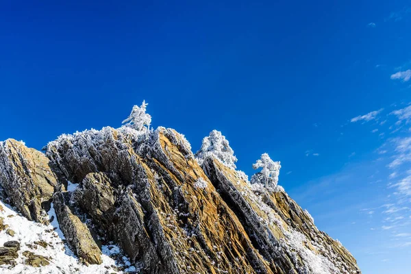 Sněhem Pokrytá Většina Hor Lesů Hehuan Mountain Nantou Tchaj Wan — Stock fotografie
