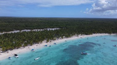 Saona island tropical beach in Caribbean sea  Dominican Republic birds view