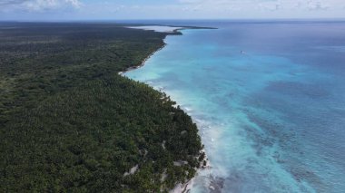 Saona island tropical beach in Caribbean sea  Dominican Republic birds view