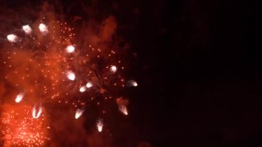 Beautiful colourful Fireworks Shiny Display at Night Background. festival, Anniversary, Celebration, Party, New Year, Happy Birthday, Wedding, Christmas