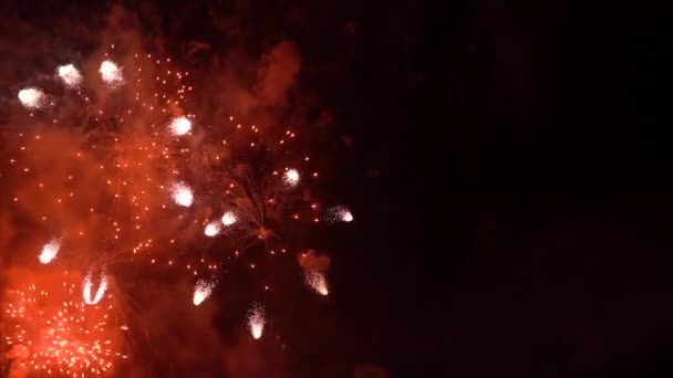 Όμορφα Πολύχρωμα Πυροτεχνήματα Λαμπερή Οθόνη Νύχτα Φόντο Γιορτή Επέτειος Γιορτή — Αρχείο Βίντεο