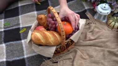 a girl decorates a basket with pumpkins at an autumn picnic. woman's hand close up