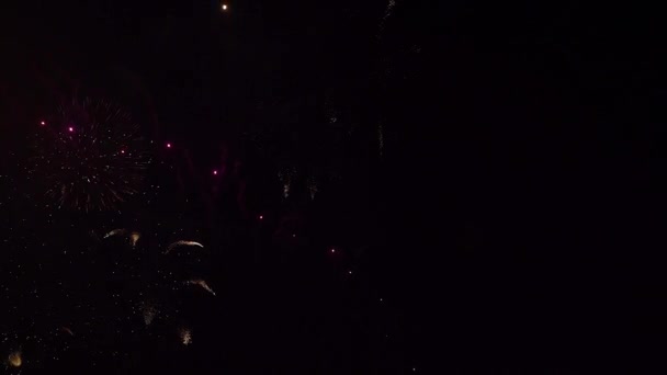 Színes Tűzijáték Fényes Kijelző Éjszakai Háttér Fesztivál Évforduló Ünnep Buli — Stock videók
