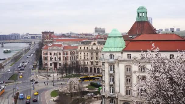 Budapest Magyarország 2023 Március Cseresznyevirág Tavasszal Kilátás Városra — Stock videók