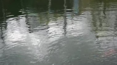 Parktaki nehir suyu dokusu. Su yüzeyinin manzarası. Su yüzeyinin arka planı