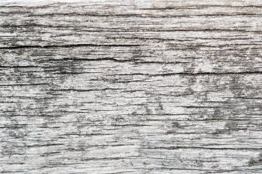 Beyaz ve gri ahşap arka plan dokusu. Metin için alanı olan soyut ahşap arkaplan
