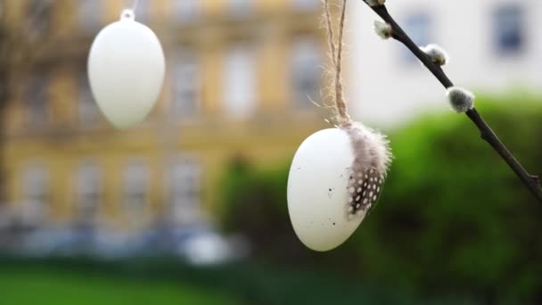 Huevos Blancos Pascua Con Plumas Colgando Una Rama Sauce Aire — Vídeos de Stock