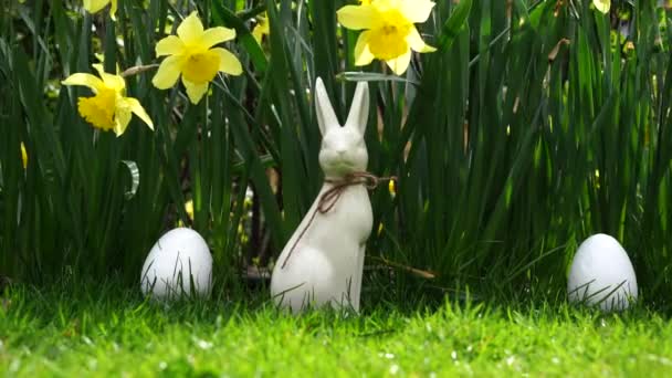 Zajączek Wielkanocny Jajko Ogrodzie Kwiaty Żonkil Tło Natury Wesołych Świąt — Wideo stockowe