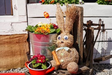 Bahçede bahar Paskalya dekoru. Büyük tavşanlı saksılarda çiçekler ve bitkiler. Kırsal teras. Bahar dekorasyonunda kır evi verandası
