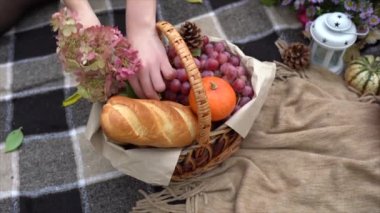 Kız sonbahar pikniğinde bir sepeti balkabağıyla süslüyor. Kadının eli yakın.