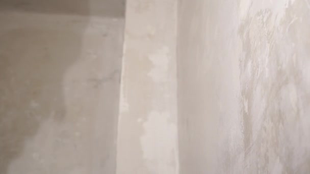 Blanc Homme Peint Mur Avec Rouleau Main Homme Peint Mur — Video