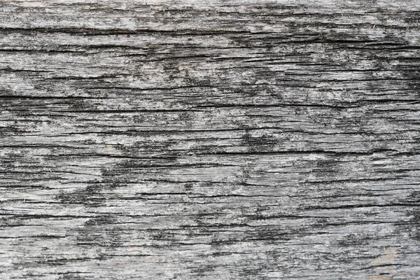 Grau Holz Hintergrund Textur Abstrakte Holzkulisse Mit Platz Für Text — Stockfoto