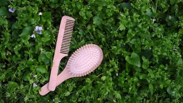 Holzhaarbürsten Auf Grünem Naturhintergrund Natürliche Haarpflegeprodukte — Stockvideo