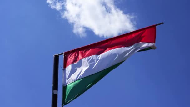 Bandera Húngara Ondeando Contra Cielo Azul — Vídeo de stock
