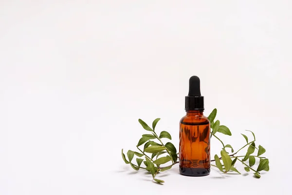 stock image Glass bottle with cosmetic product oil or serum and green leaves on white background, copy space