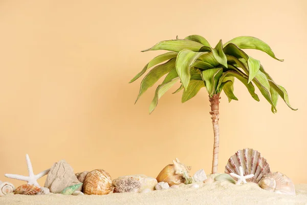 stock image Tropical beach with sea stars and palm on sand, summer holiday background. Travel and beach vacation, free space for text, place for cosmetics products