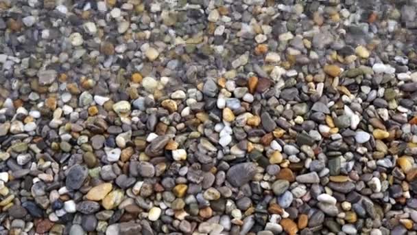 Mořské Kameny Letní Zázemí Příroda Moře Eko Řeka — Stock video