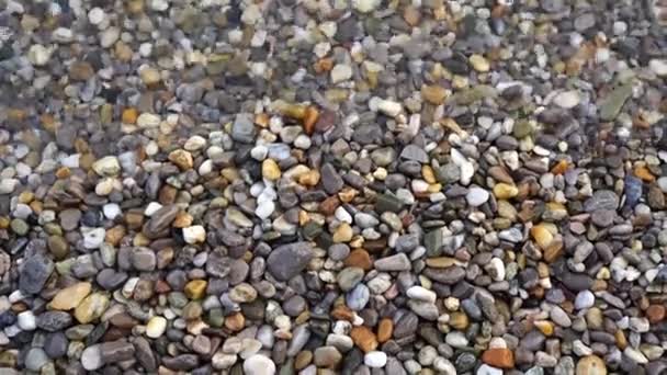 Mořské Kameny Letní Zázemí Příroda Moře Eko Řeka — Stock video
