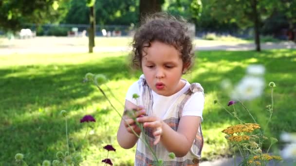 Menina Bonito Andando Jardim Flores Cidade Criança Bonita Feliz Com — Vídeo de Stock