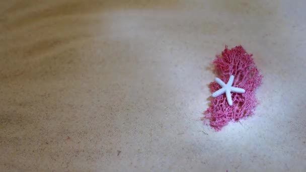 Λευκό Αστερία Ροζ Φύκια Φόντο Άμμου Θαλάσσιες Καλοκαιρινές Διακοπές — Αρχείο Βίντεο