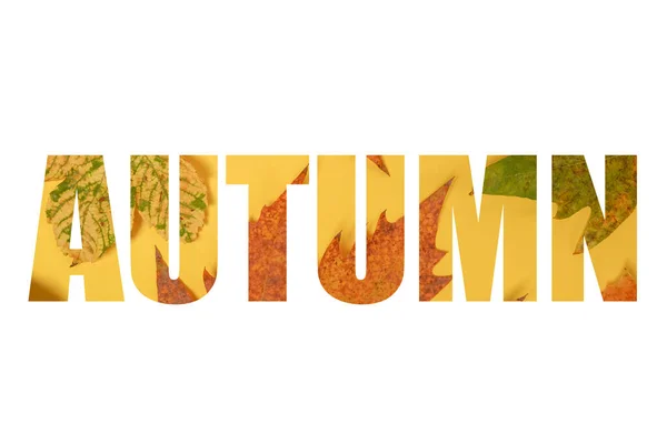 Word Autumn Colorful Leaves Yellow Pattern Word Isolated White Background — Stock Photo, Image