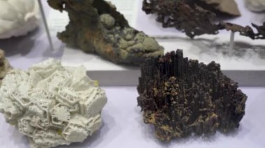 beyaz arkaplanda çeşitli mineral taşları koleksiyonu
