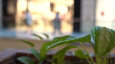 Görüntü ve Bokeh, arka plan için alışveriş merkezinin iç kısımlarına odaklanmışlar. Alış veriş merkezinde yürüyen bulanık insanlar