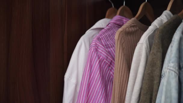 自宅でクローゼットで服を選ぶ女性 衣類のワードローブファッションのトレンドの概念 ピンクのセーターで女性の手 — ストック動画