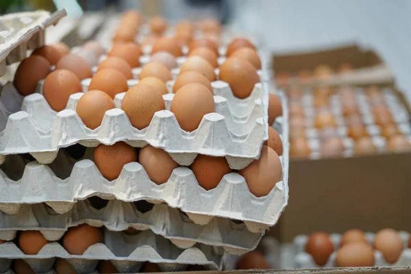 Farm eggs in egg carton boxes in the store. Eco Bio Organic Products Food