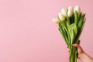 Pembe arka planda beyaz lale demeti. Kopya alanı, tebrik kartı.