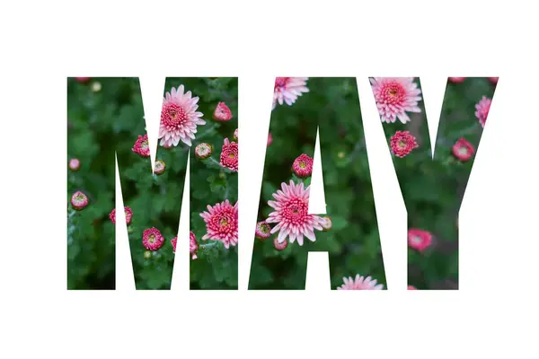 Beyaz arka planda yeşil yapraklar ve pembe çiçeklerden gelen MAY kelimesi