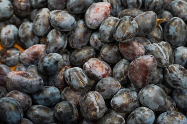 Erikler, meyve arka planı, doku, erikler marketteki kutuda.