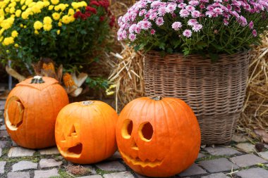 Üç oyulmuş kabak kabağı, kaldırım taşı zeminine yerleştirilmiş, renkli kasımpatı sepetleri ve samanla çevrili, neşeli bir sonbahar sahnesi yaratıyor.