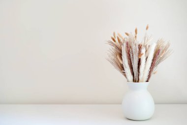 Kurumuş otlar ve pampalar basit beyaz bir vazoda sade bir arka planda