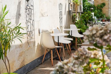 Beyaz modern sandalyeleri, küçük yuvarlak masaları, saksısı bitkileri ve sıcak güneş ışığı olan rahat bir kafeterya.