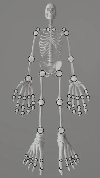 痛みを伴う関節腫脹を決定するための関節マニキン 3Dレンダリング — ストック写真
