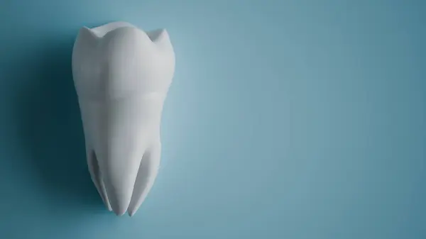 stock image A highly detailed 3D rendering of a tooth against a light blue background.