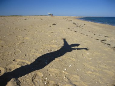 Bir bireyin silueti kumlu bir kıyıya, açık gökyüzünün altına ve suya yakın bir yere yansıtılır. Manzara, güzel bir ufuk oluşturan aeolian arazilere sahiptir.