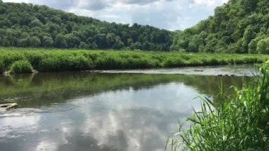 Serin bir nehir yemyeşil sularda akar, doğada rahatlama ve dalma için doğal bir ortam sunar.
