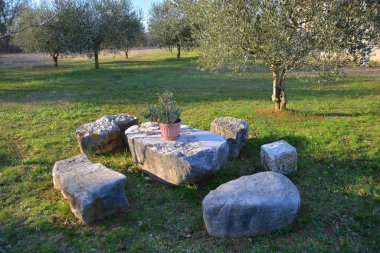 Yüzeyine dikkatlice yerleştirilmiş canlı bir saksı bitkisi olan sevimli bir taş masa büyüleyici bir ortam yaratıyor.