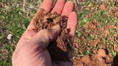 Zengin toprağı tutan, eşsiz dokusunu ve bahçıvanlık için doğal rengini sergileyen bir elin yakın çekimi.