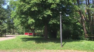 Huzurlu bir park ortamında, yemyeşil çimenler, uzun ağaçlar ve sizi oturmaya ve eğlenmeye davet eden parlak kırmızı bir bank vardır.