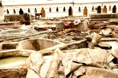 Deri işleme Marakeş, Jemaa el Fnaa Meydanı.
