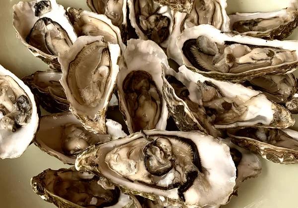 Fresh opened oysters in a plate, ready for served.