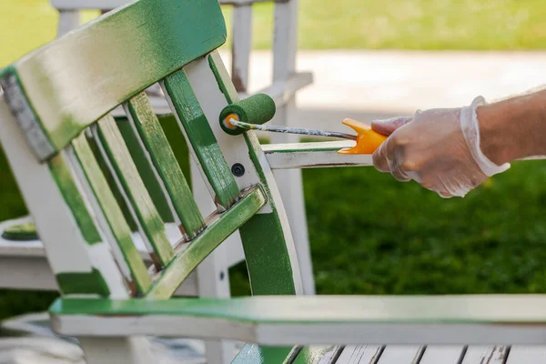 Painting Wooden Chair. Renovation or Renewing Garden Wooden  Furniture by Paint Roller in Green Paint.